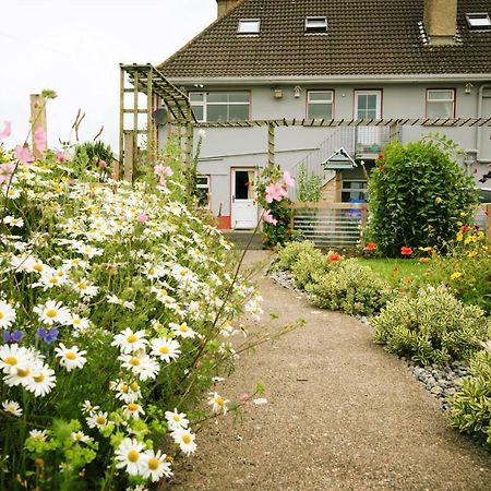 Eagle Heights Bed & Breakfast Enniscrone Bagian luar foto