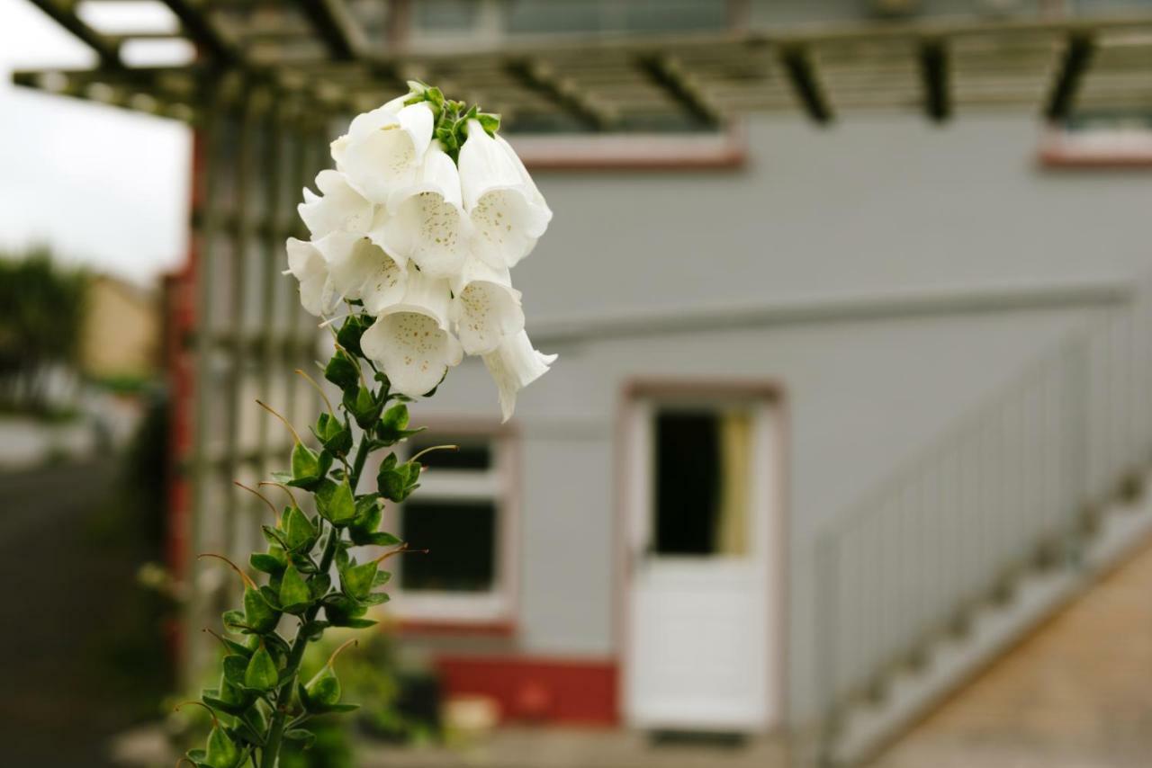 Eagle Heights Bed & Breakfast Enniscrone Bagian luar foto